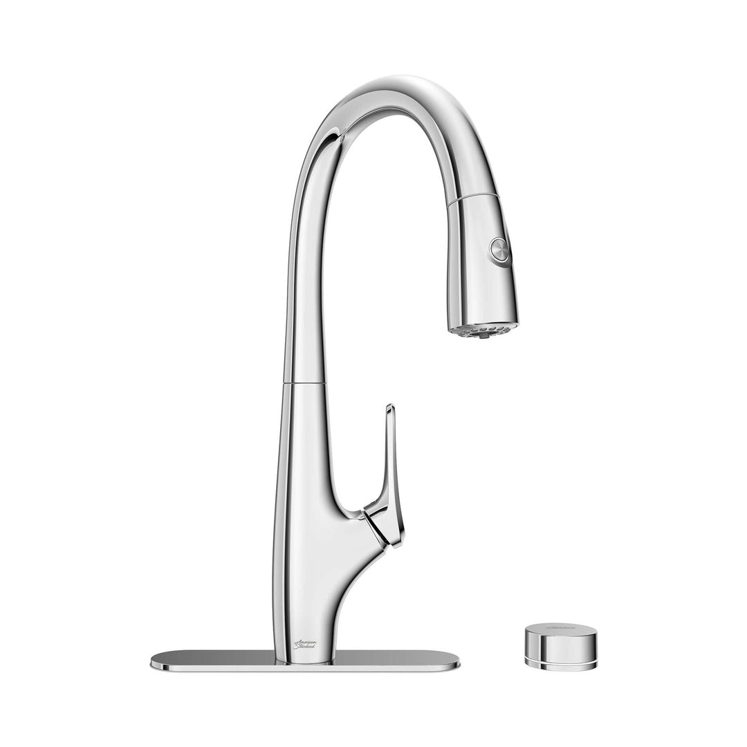 American Standard Saybrook Filtered Kitchen Faucet