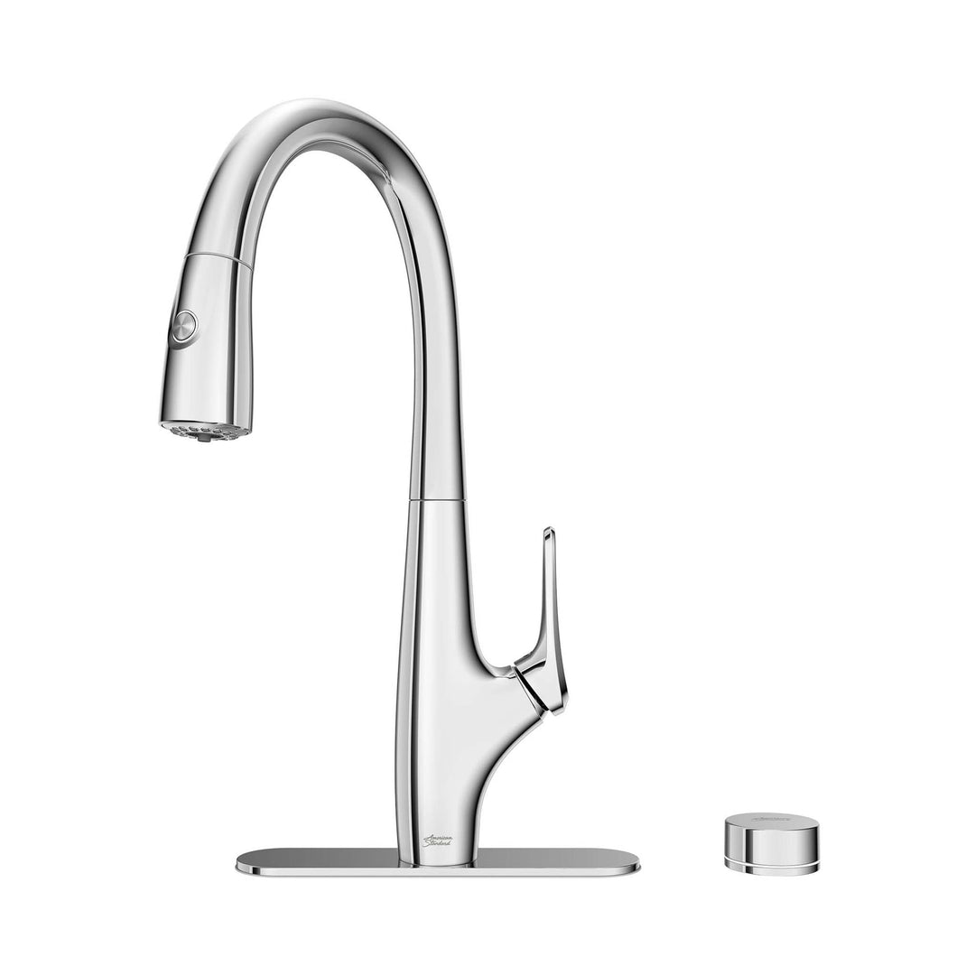 American Standard Saybrook Filtered Kitchen Faucet