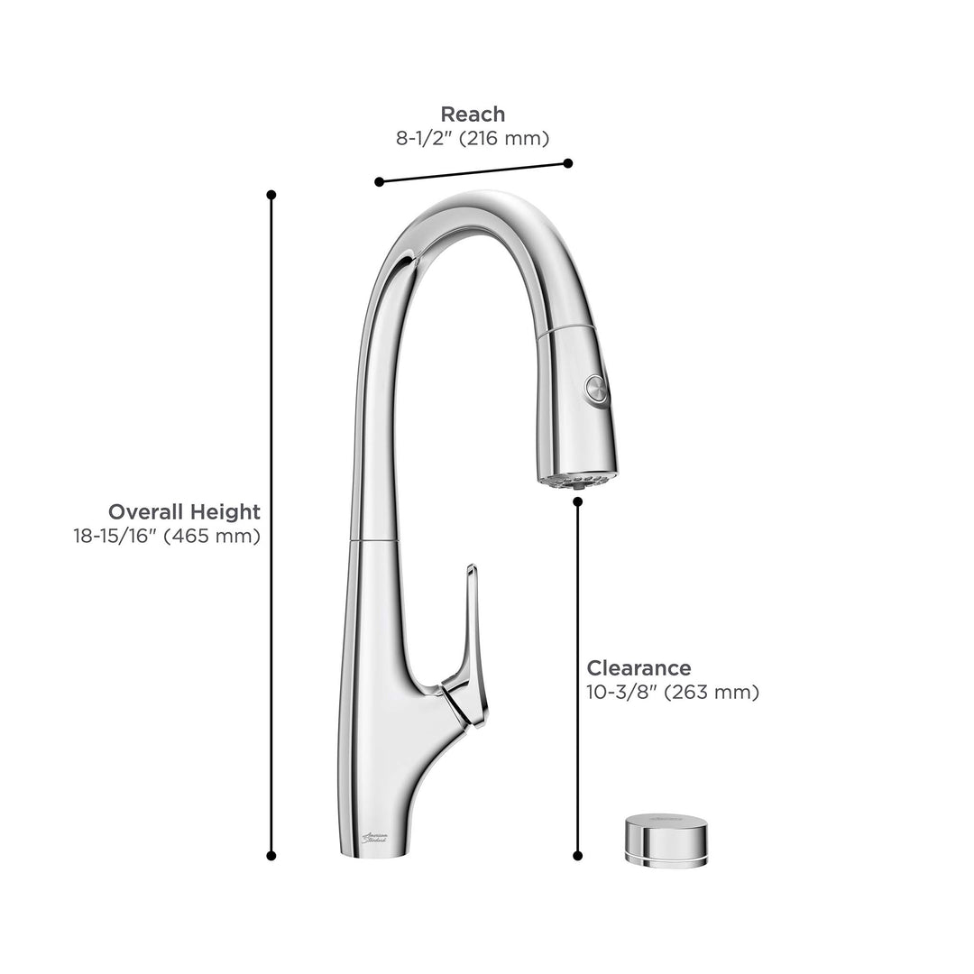 American Standard Saybrook Filtered Kitchen Faucet