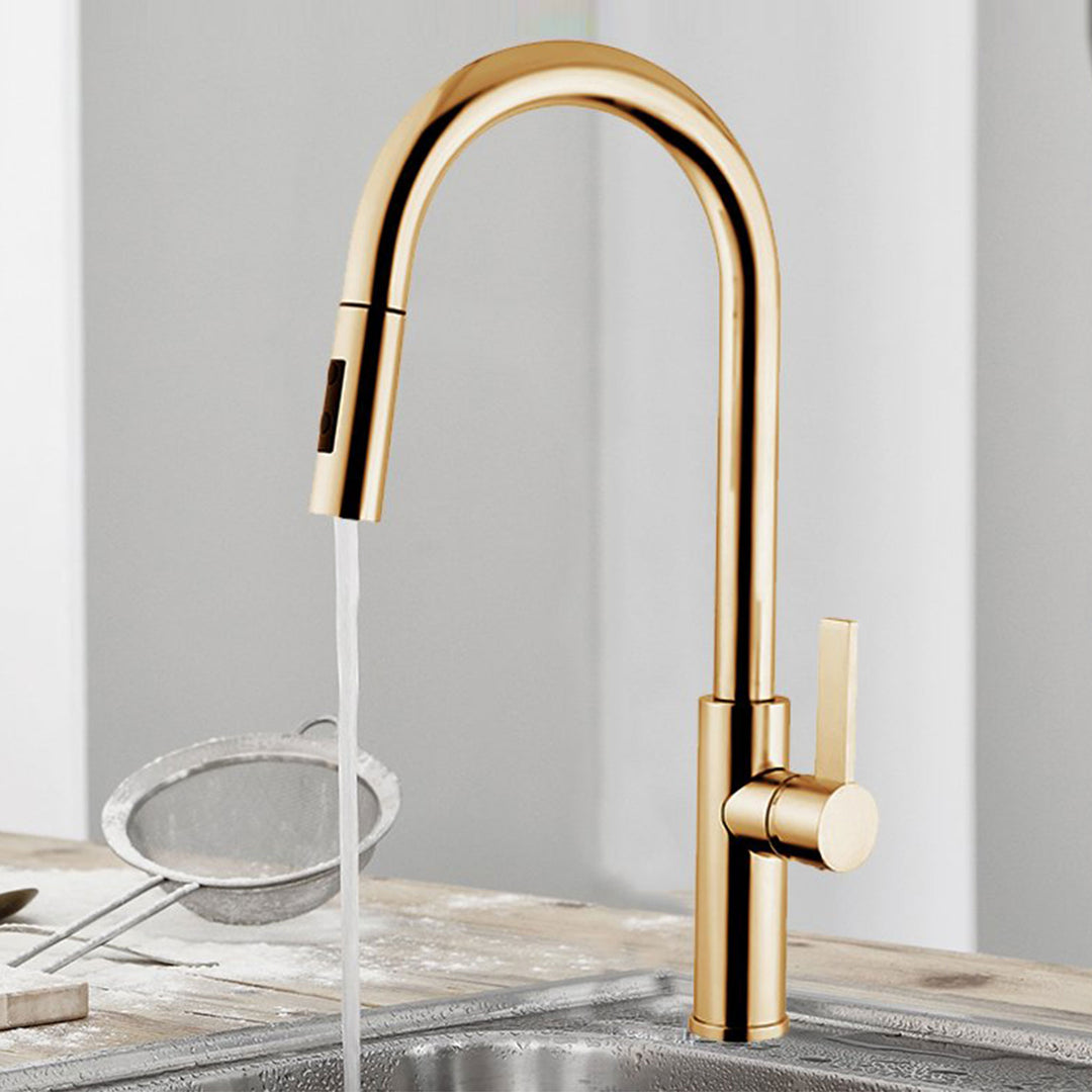 Disegno Mitu D30P-51 Kitchen Faucet Brushed Gold