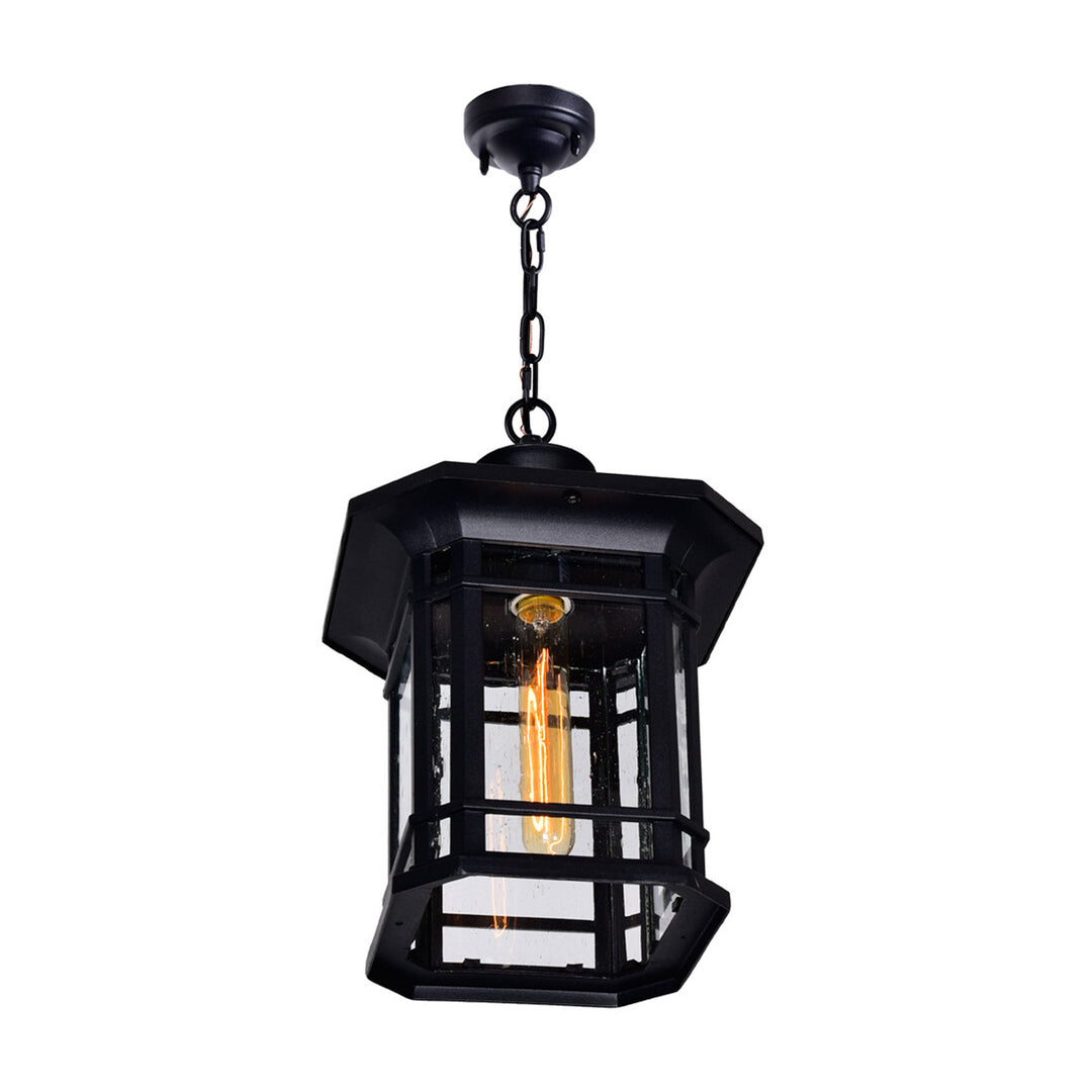 CWI Lighting Blackbridge 1-Light Outdoor Pendant