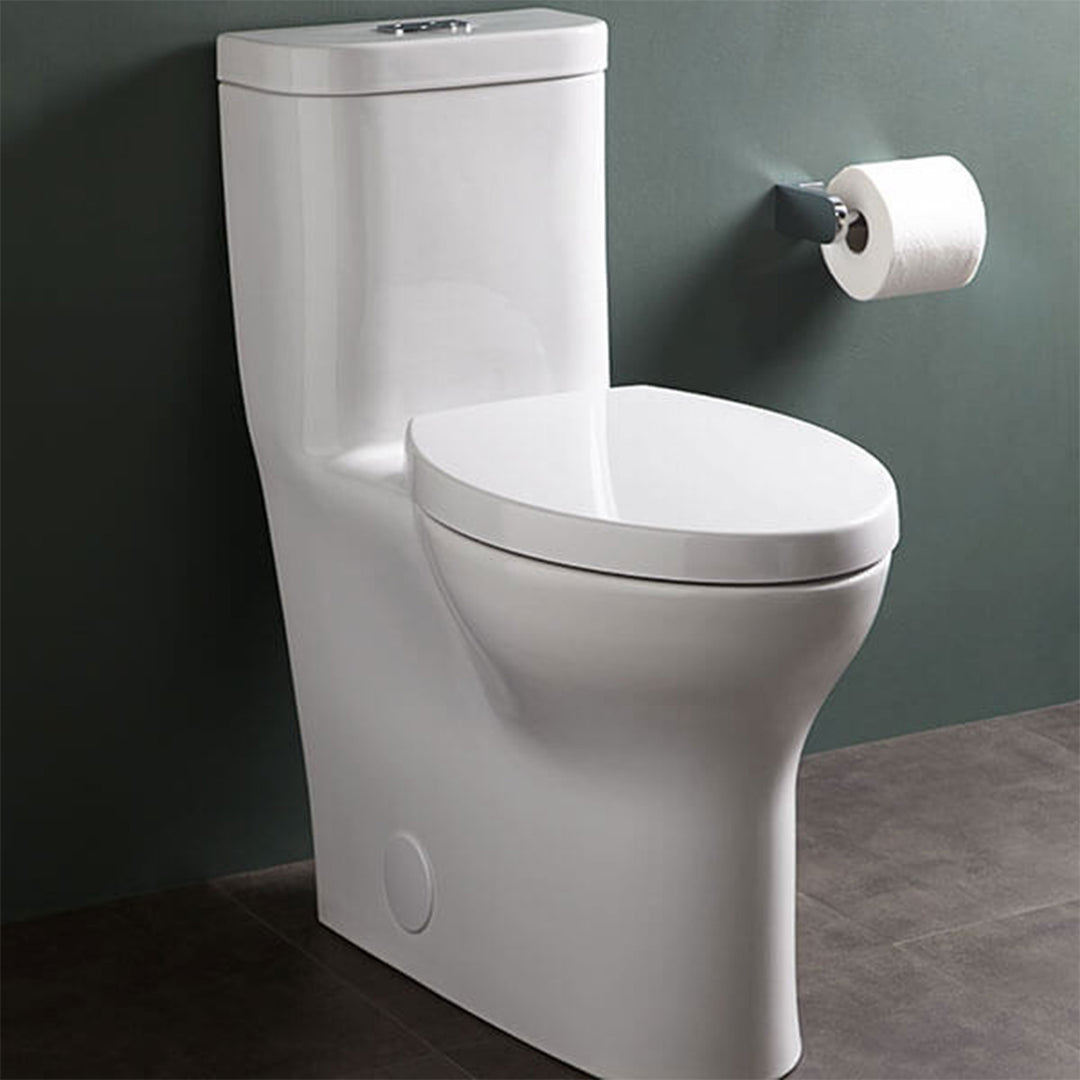 DXV Equility One-Piece Elongated Dual Flush Toilet