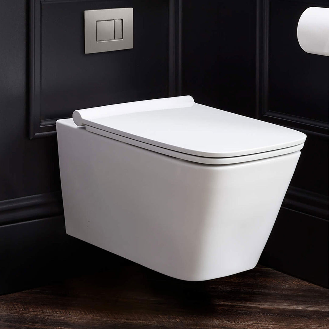 DXV Modulus Wall-Mounted Elongated Toilet