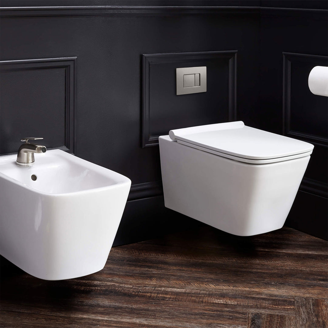 DXV Modulus Wall-Mounted Elongated Toilet